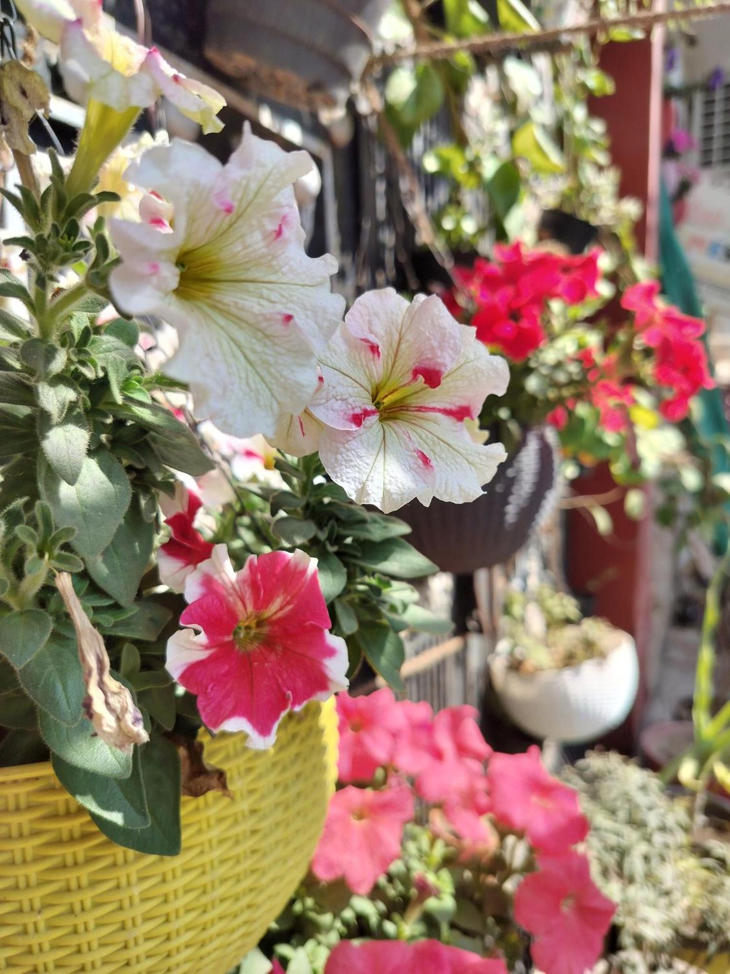 Kishan Home Stay Mathura Exterior foto