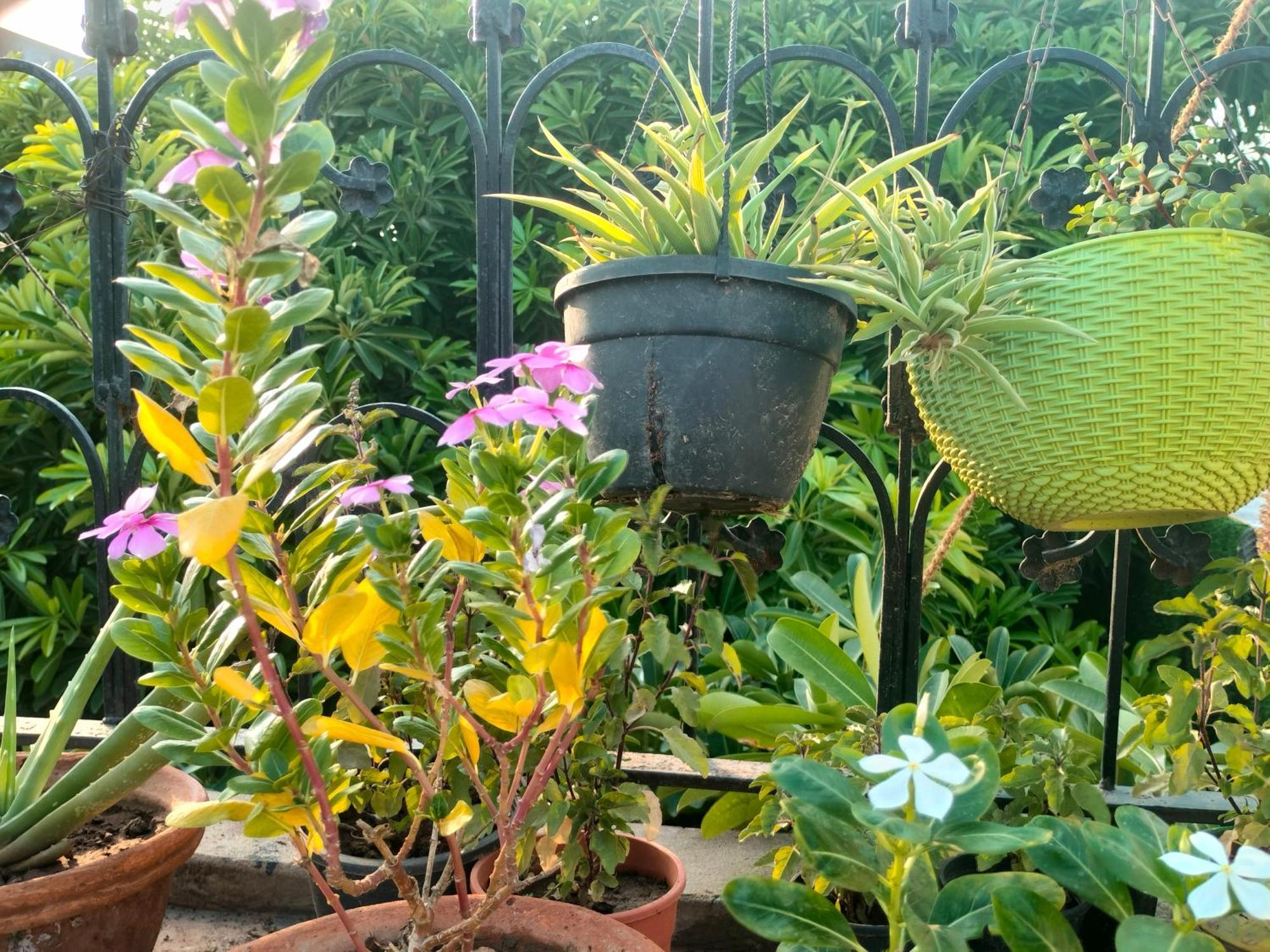 Kishan Home Stay Mathura Exterior foto