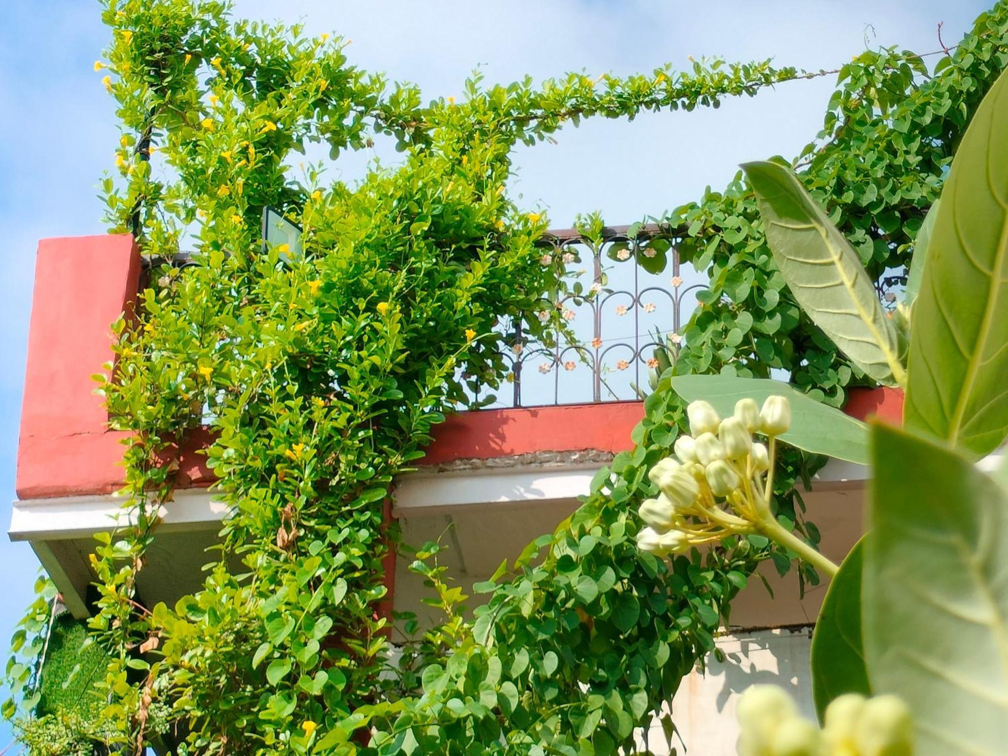 Kishan Home Stay Mathura Exterior foto