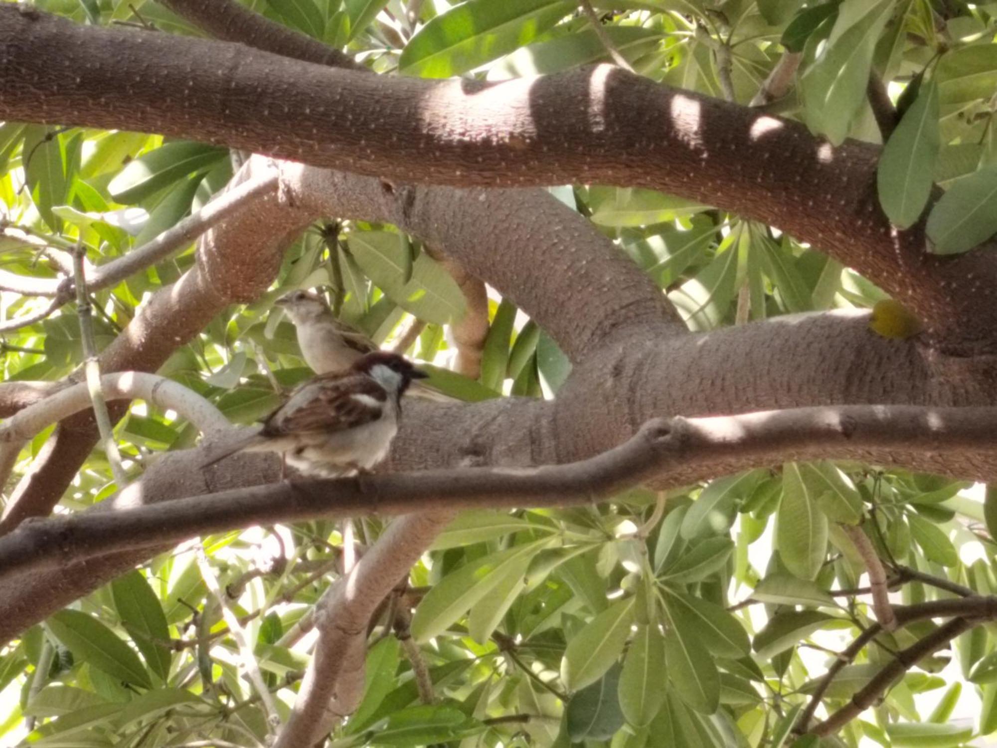 Kishan Home Stay Mathura Exterior foto